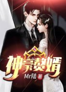 神豪赘婿