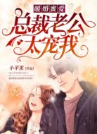 暖婚蜜愛：總裁老公太寵我