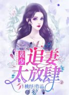 裴少，追妻太放肆！