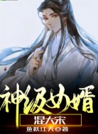 神级女婿混大宋