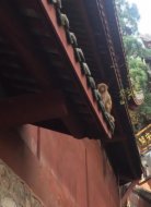 风萧萧