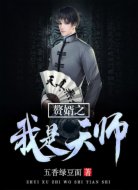 赘婿之我是天师