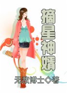 摘星神婿