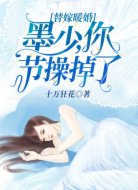 替嫁暖婚:墨少,你节操掉了