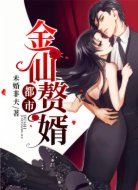都市金仙赘婿