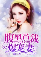 腹黑总裁爆宠妻