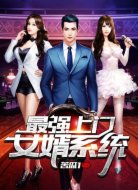 最强上门女婿系统