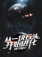 从一块石头开始进化