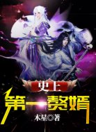 史上第一赘婿