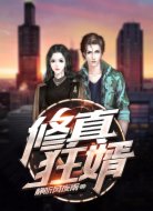 修真狂婿