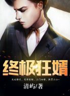 终极狂婿