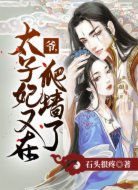 爷,太子妃又在爬墙了