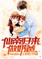 仙帝归来做奶爸