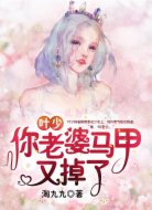 叶少，宠妻请克制