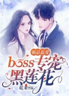 霸总追爱：boss专宠黑莲花