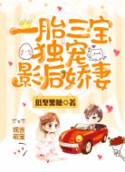 一胎三宝:独宠影后娇妻