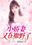 小娇妻又在撒野了