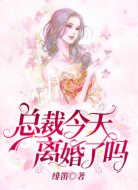 总裁今天离婚了吗