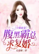 火爆前妻:腹黑霸总求复婚