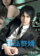 狂品赘婿
