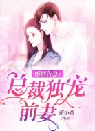 婚情告急:总裁独宠前妻