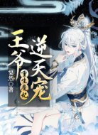 重生魔妃，王爺逆天寵