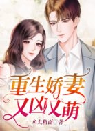 重生娇妻又凶又萌