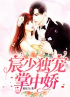 宸少独宠掌中娇