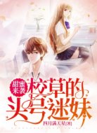 甜蜜来袭:校草的头号迷妹