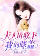 夫人,请收下我的膝盖