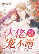 小妻重生:大佬宠不溺