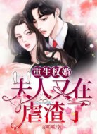 重生权婚:夫人又在虐渣了