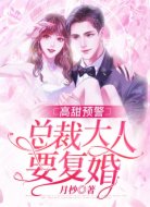 高甜預(yù)警:總裁大人要復(fù)婚