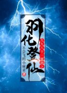 九九八十一雷劫之羽化登仙