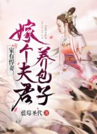 家有悍妻：嫁个夫君养包子