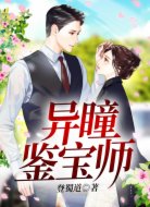 异瞳鉴宝师