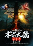 我在术武大陆玩王者