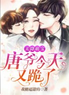 天降萌宝:唐爷今天又跪了