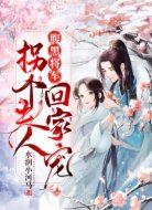 腹黑将军:拐个夫人回家宠