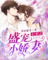 七零之盛寵小嬌妻