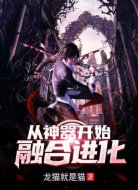 从神器开始融合进化