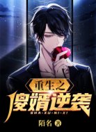 重生之傻婿逆袭