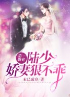 第一婚宠:陆少,娇妻狠不乖