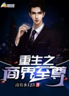 重生之商界至尊