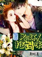 爸比,又有坏人抢妈咪!