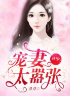 叶少,宠妻太嚣张