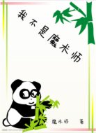 我不是魔术师