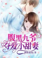 腹黑九爷夺爱小甜妻