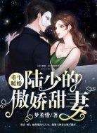重生暖婚,陆少的傲娇甜妻
