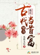 我在古代努力当首富